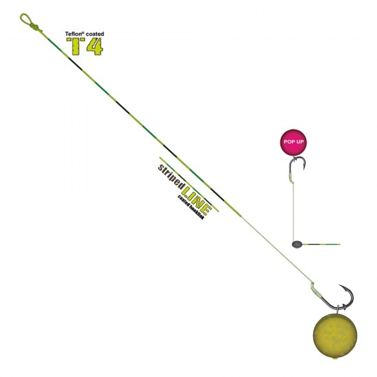 Cormoran Pop-up Boilie Skinline Serisi Hazır Takım